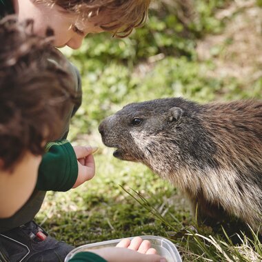 Children with marmot in the Glockner area | © grossglockner.at/Michael Königshofer
