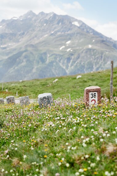 Flower meadow and historic kerbstone  | © grossglockner.at/Königshofer